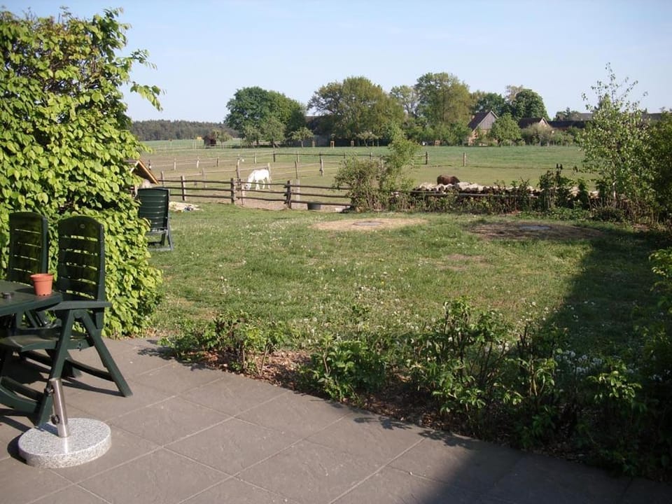 Day, Garden, Garden view