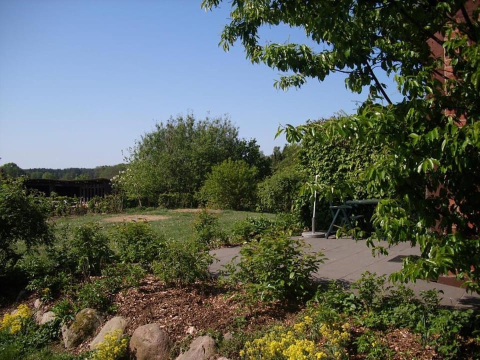 Natural landscape, Garden, Garden view