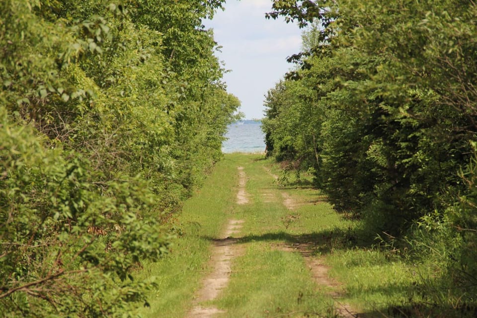 Lake view