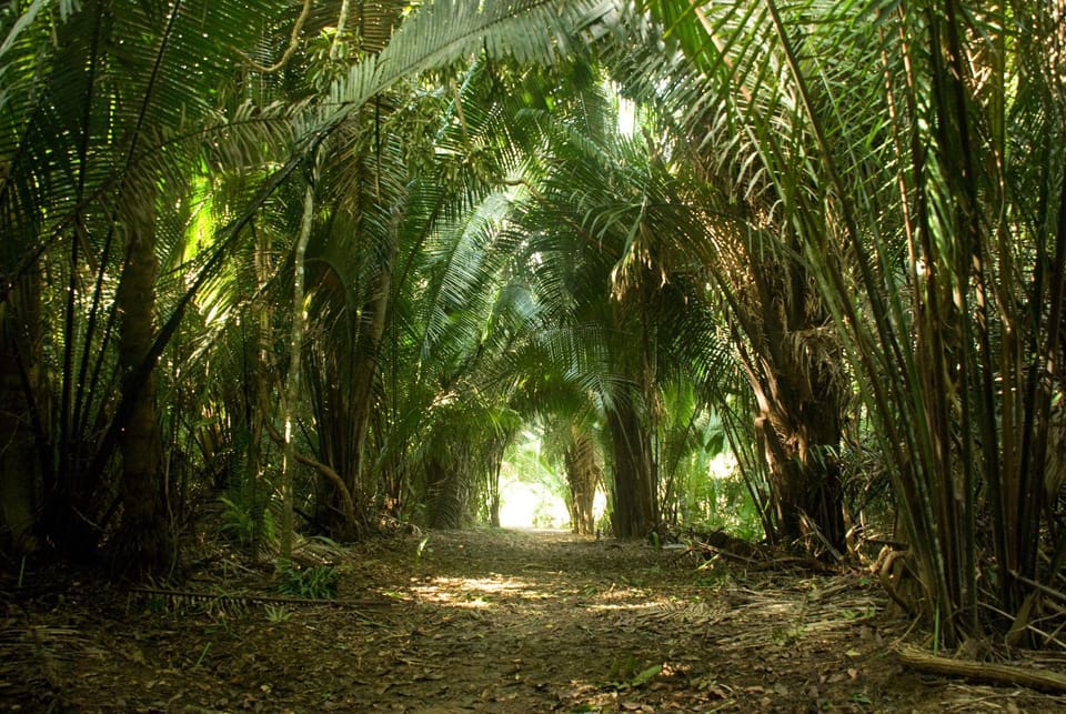Natural landscape, Hiking