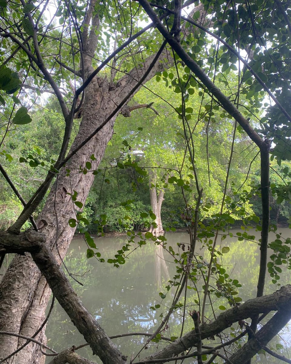 Natural landscape