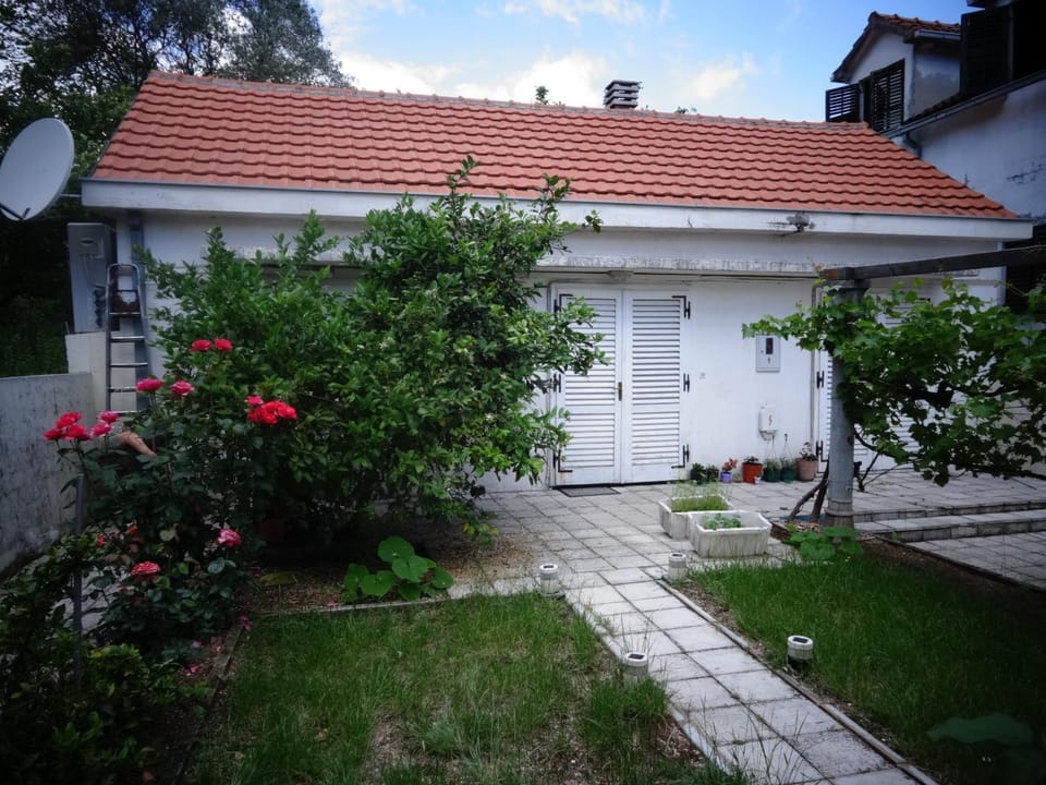 Property building, Garden view
