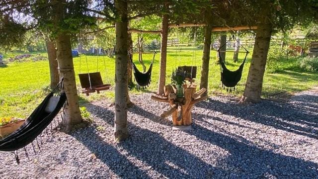 Garden view