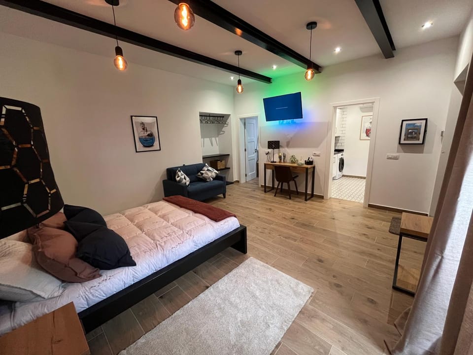 Bed, TV and multimedia, Living room, Photo of the whole room, Seating area, Bedroom