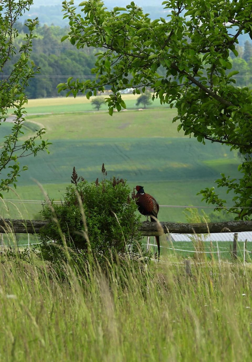 Natural landscape