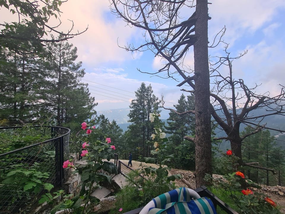 Haven Pine Crest Khaira Gali, 3BR Family Home with Lawn House in Pakistan