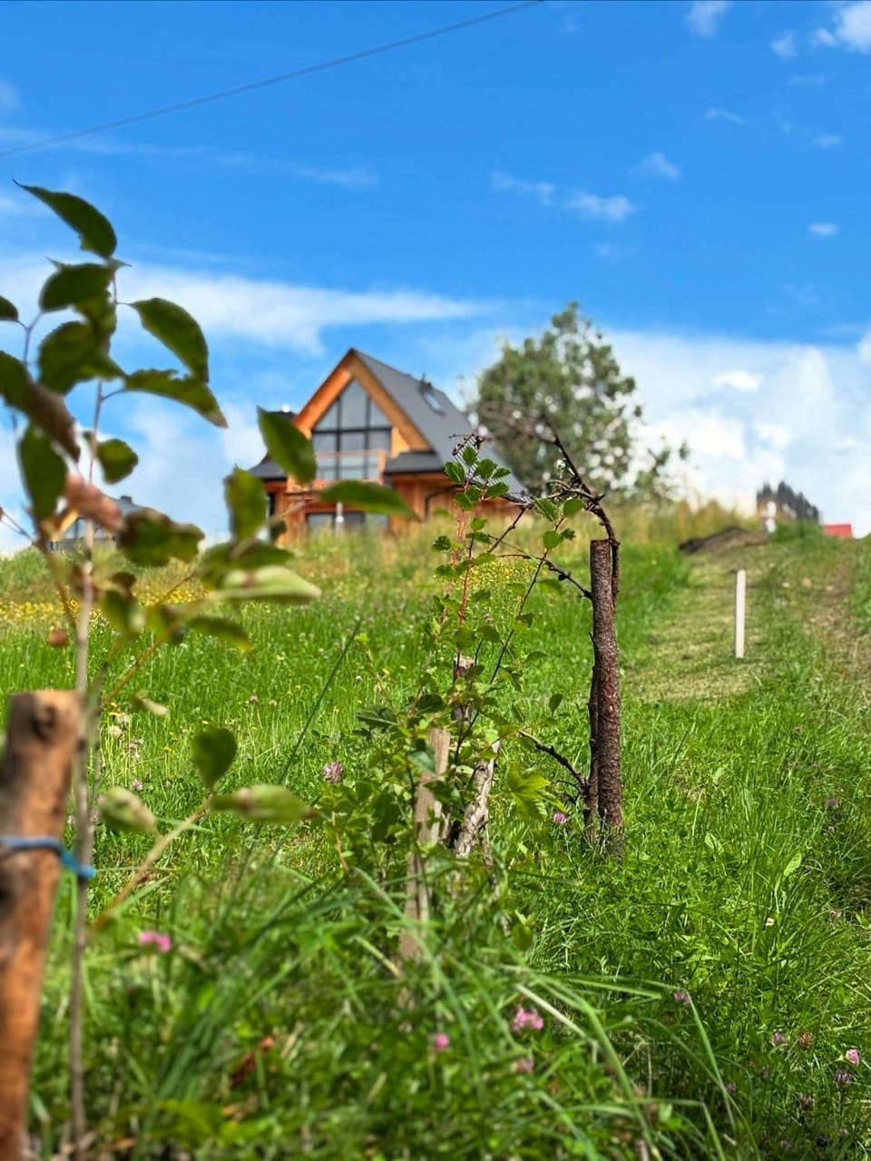 Domki pod Bachledówką House in Lesser Poland Voivodeship