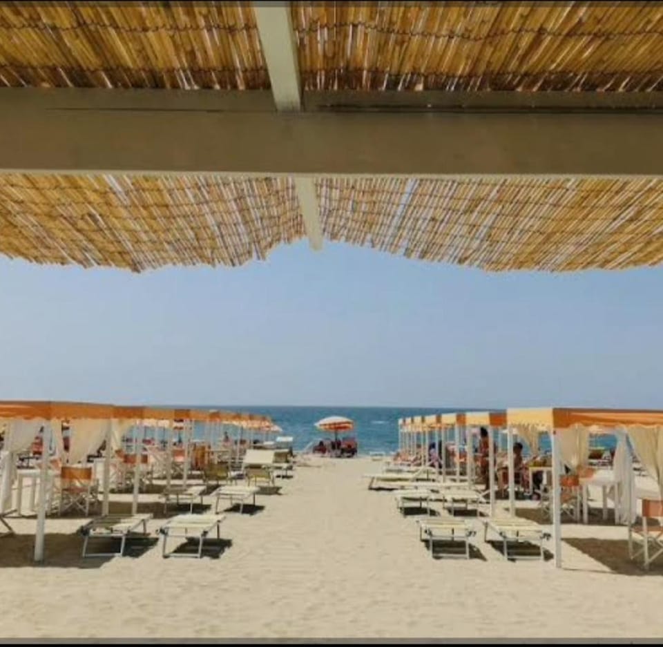 La Casina di Dudy Apartment in Livorno