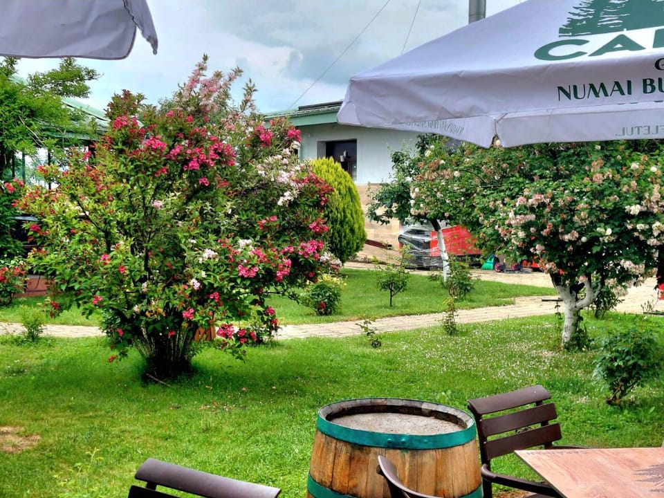 DENY INN Funland Hotel in Brașov County