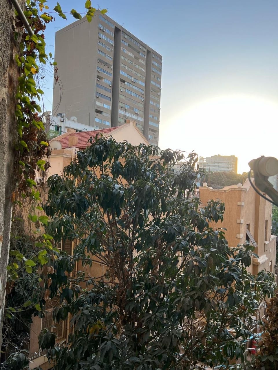 Cozy studio in Heart of zamalek Apartment in Cairo