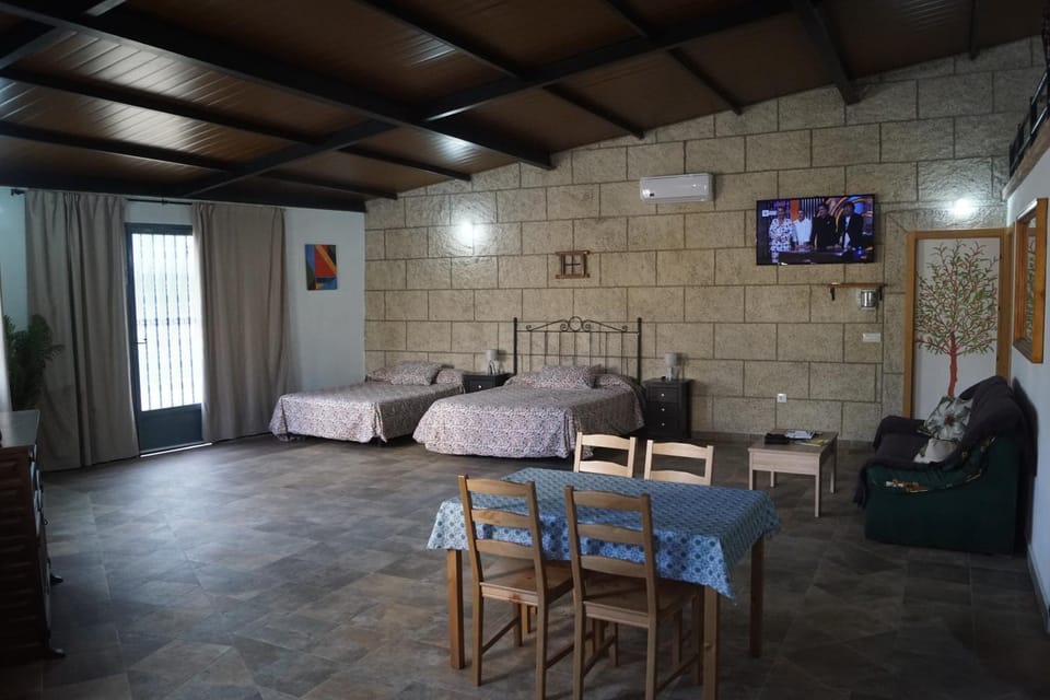 Bed, TV and multimedia, Living room, Photo of the whole room, Seating area, Bedroom