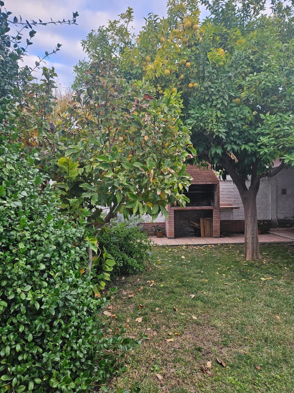 Spring, Garden, Garden view
