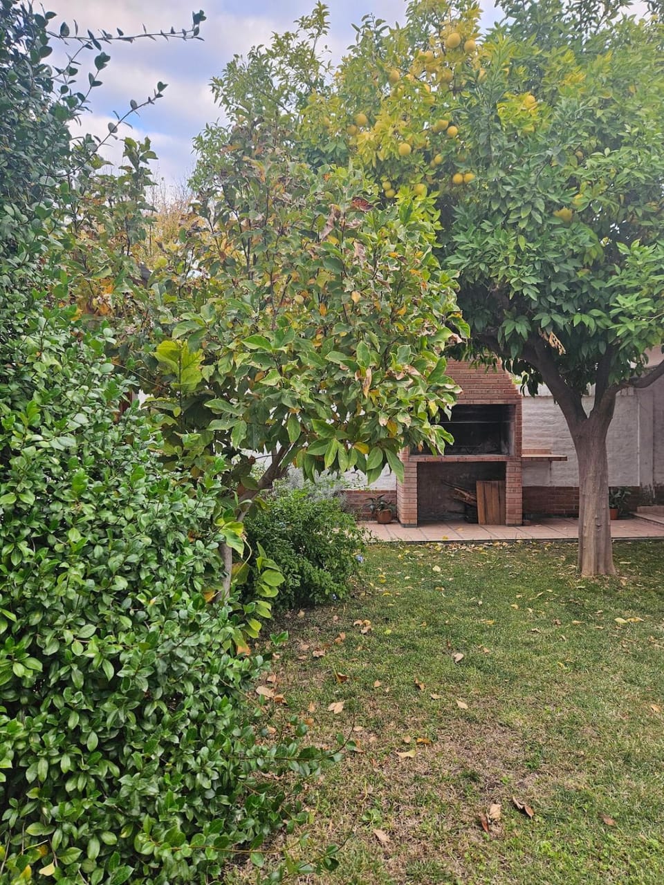 Garden, Garden view