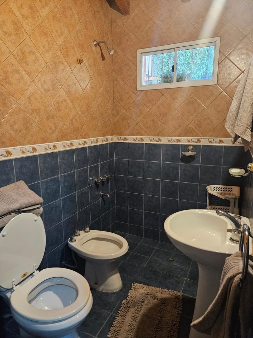Shower, Bathroom, bidet, towels