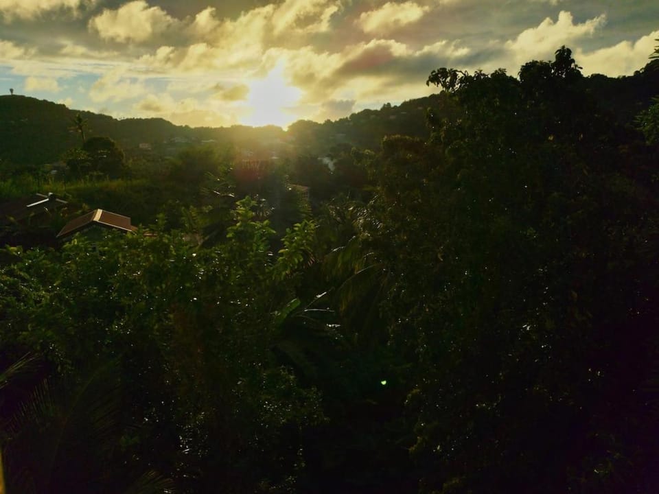 Chez laRosy Apartment in Martinique