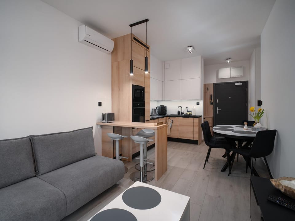 Kitchen or kitchenette, Living room, Seating area, Dining area, stove, air conditioner