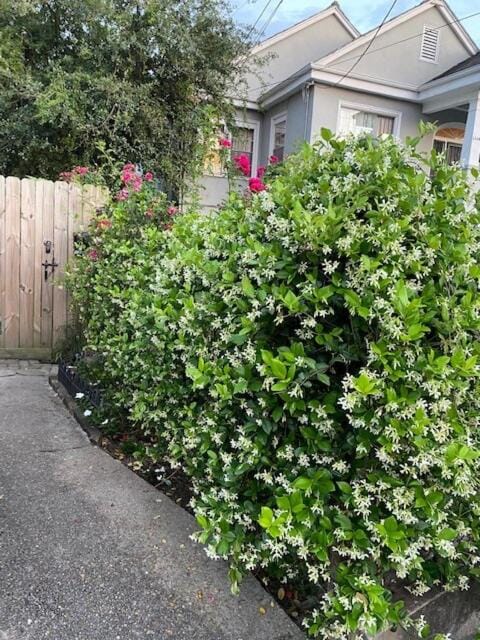 Walk to Jazz Fest from Garden Cottage Apartment in New Orleans