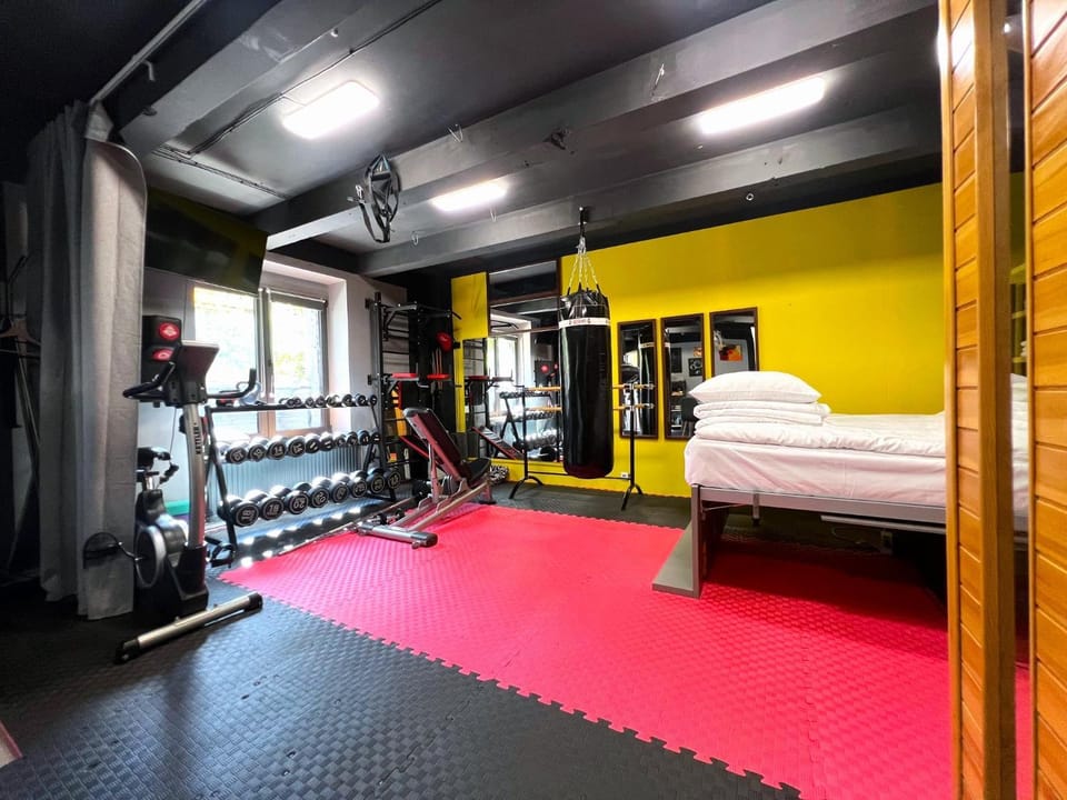 Sport & Sauna Studio Prague Apartment in Czechia