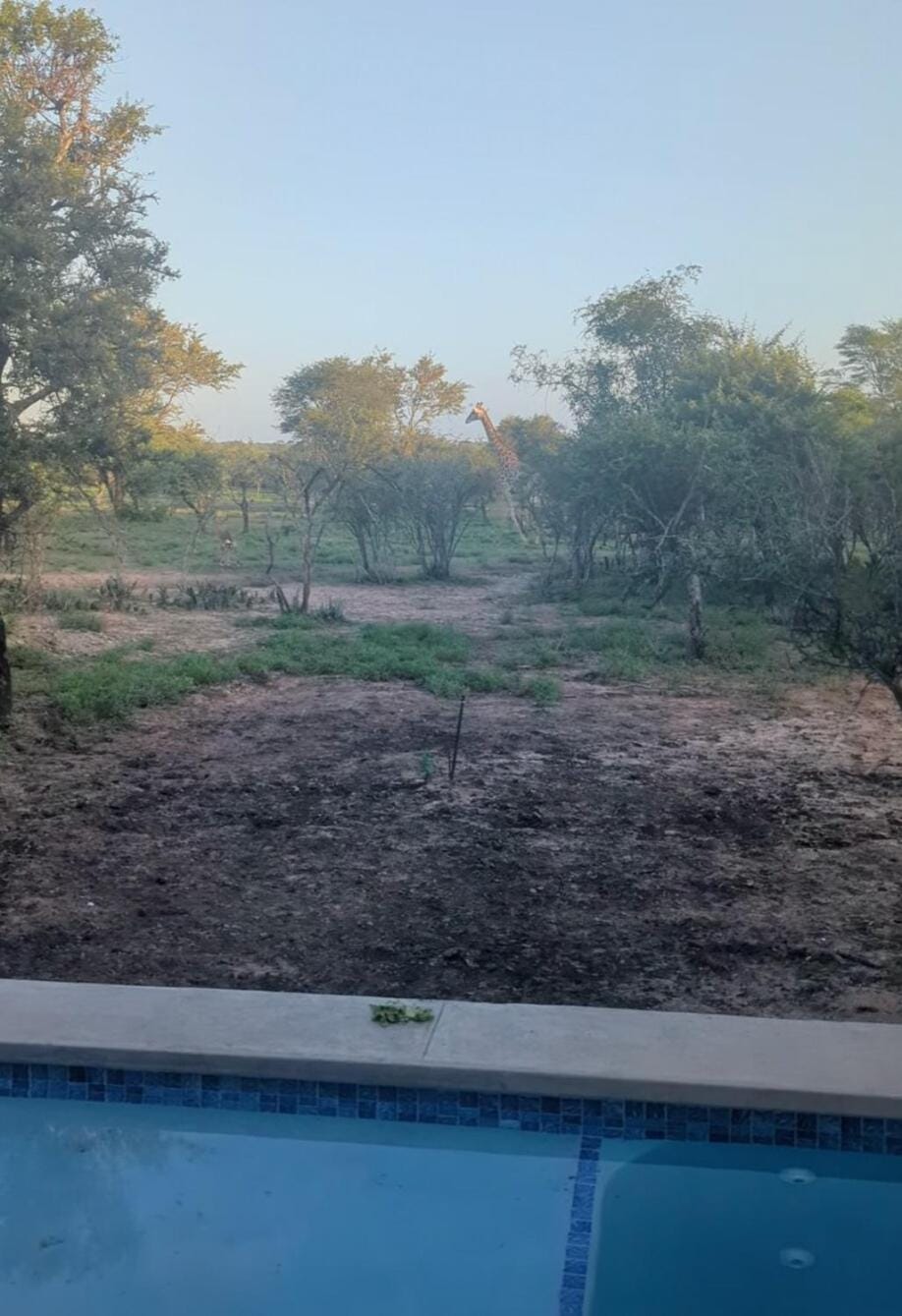 Giraffe Oasis - Kruger Luxury Family Villa Villa in South Africa