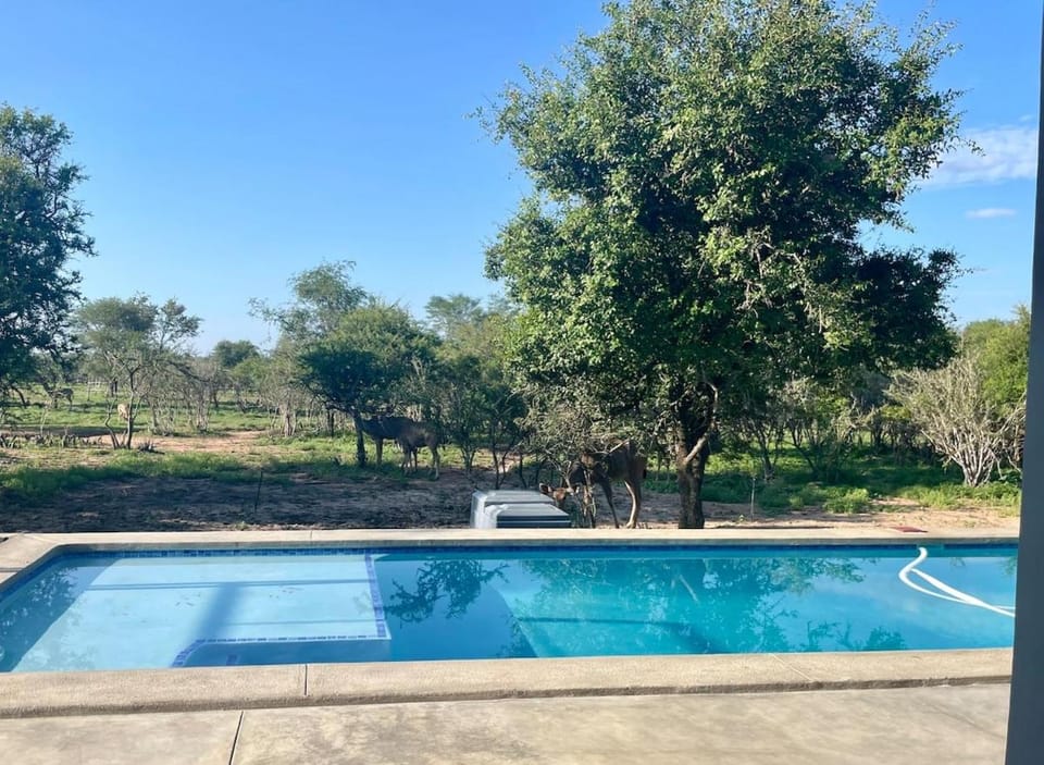 Giraffe Oasis - Kruger Luxury Family Villa Villa in South Africa