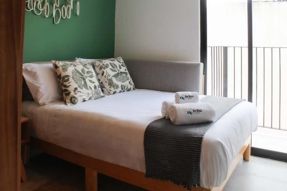 Tribu Santa Tere Apartment in Guadalajara