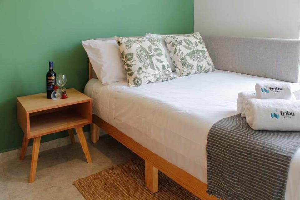 Tribu Santa Tere Apartment in Guadalajara