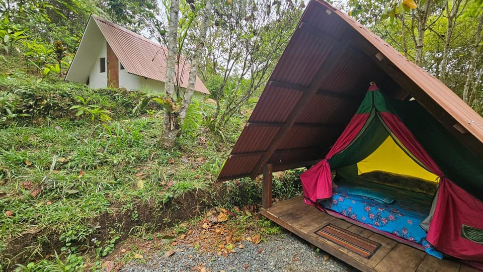 Glamping Montaña de Sueños Campground/ 
RV Resort in Cali