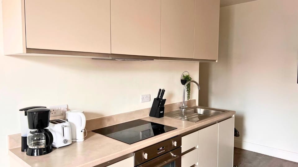 Kitchen or kitchenette, kitchen, kitchen