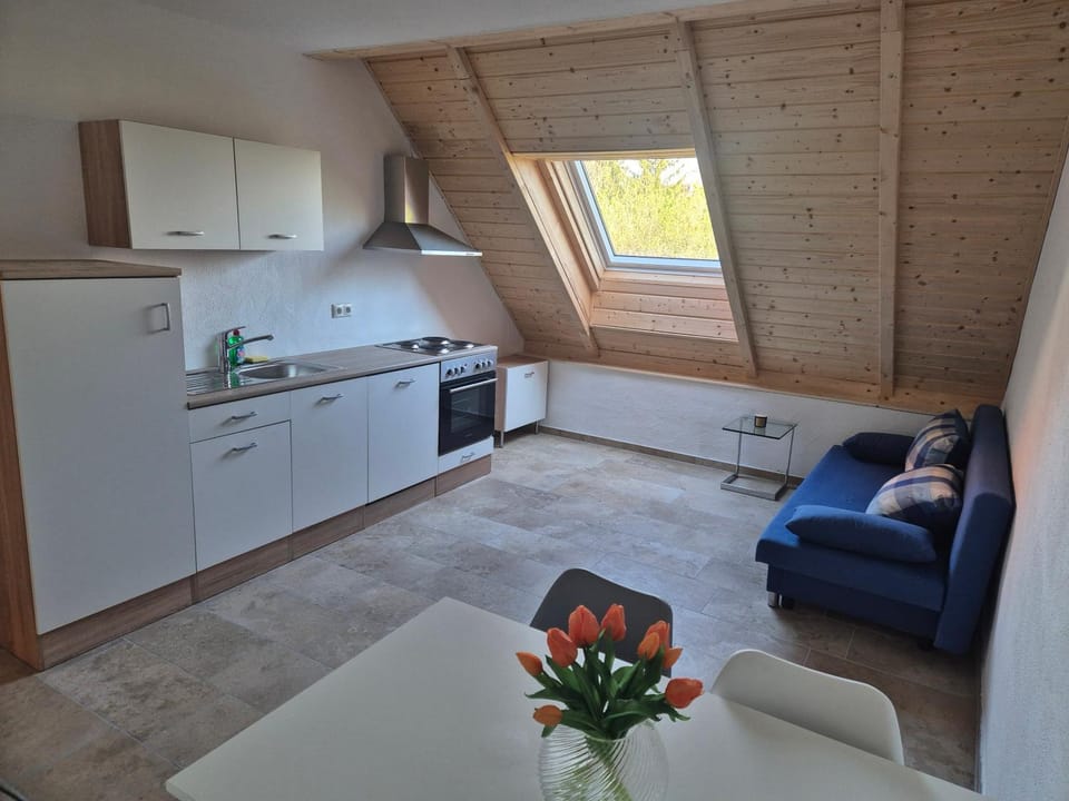 Kitchen or kitchenette, Living room, Seating area, Dining area, stove