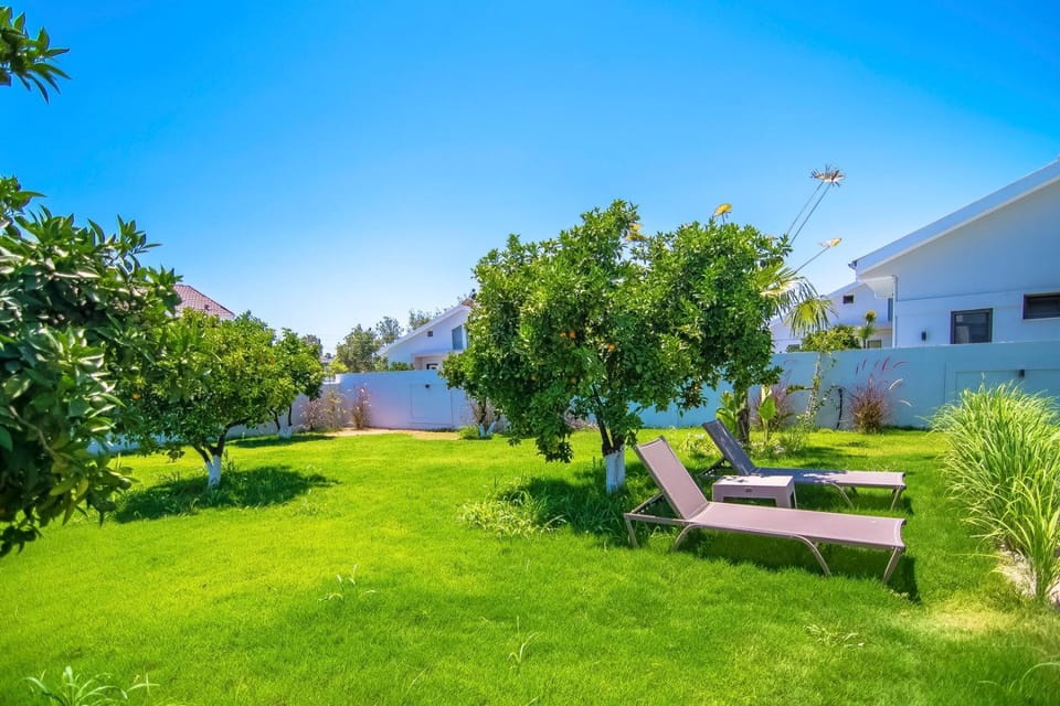 Day, Natural landscape, Garden, Garden view, sunbed