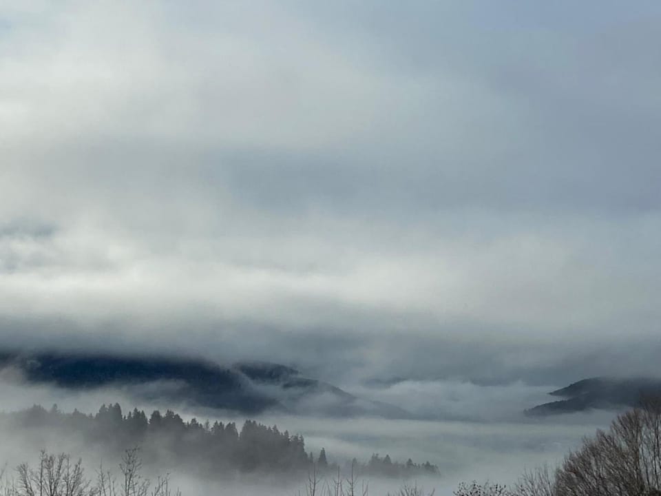Chalets Hissala, vue lac et sauna Chalet in Xonrupt-Longemer