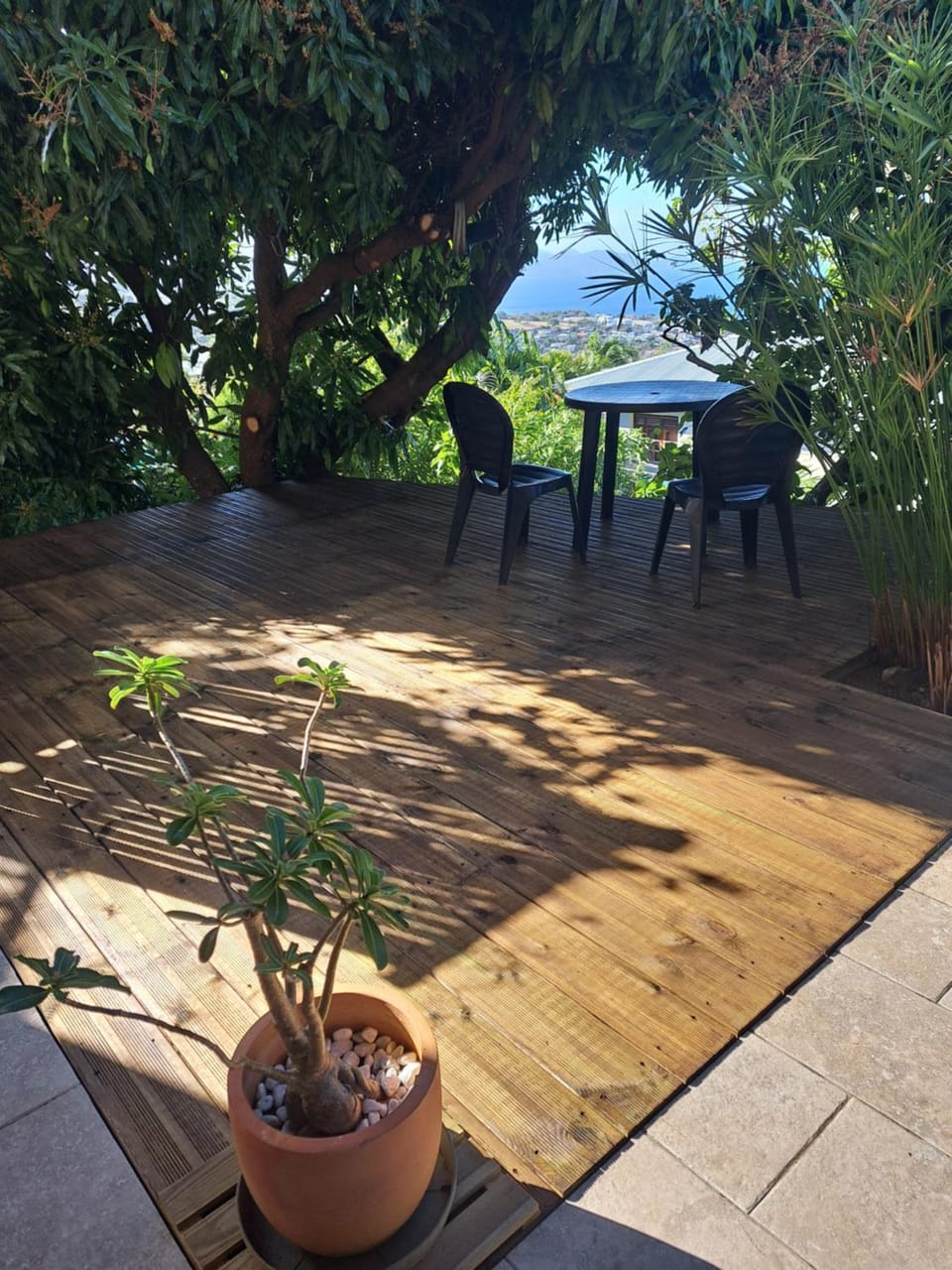 View (from property/room)