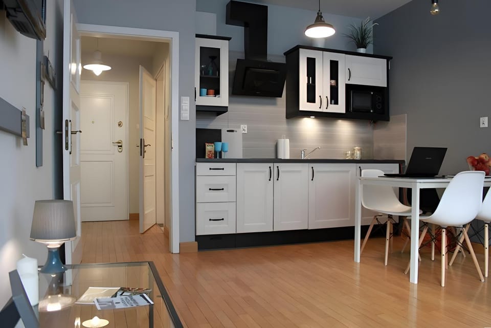 Kitchen or kitchenette, Living room, microwave, stove
