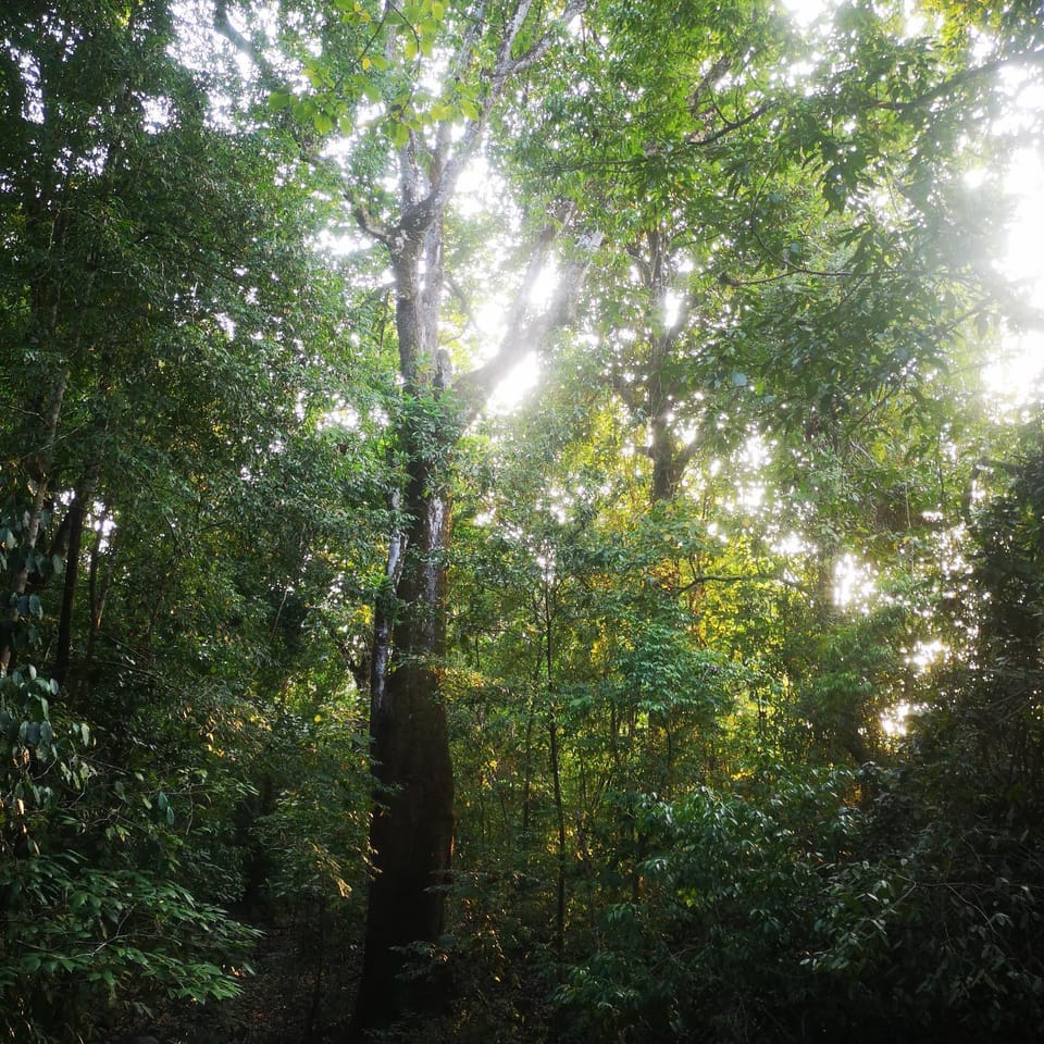 Natural landscape