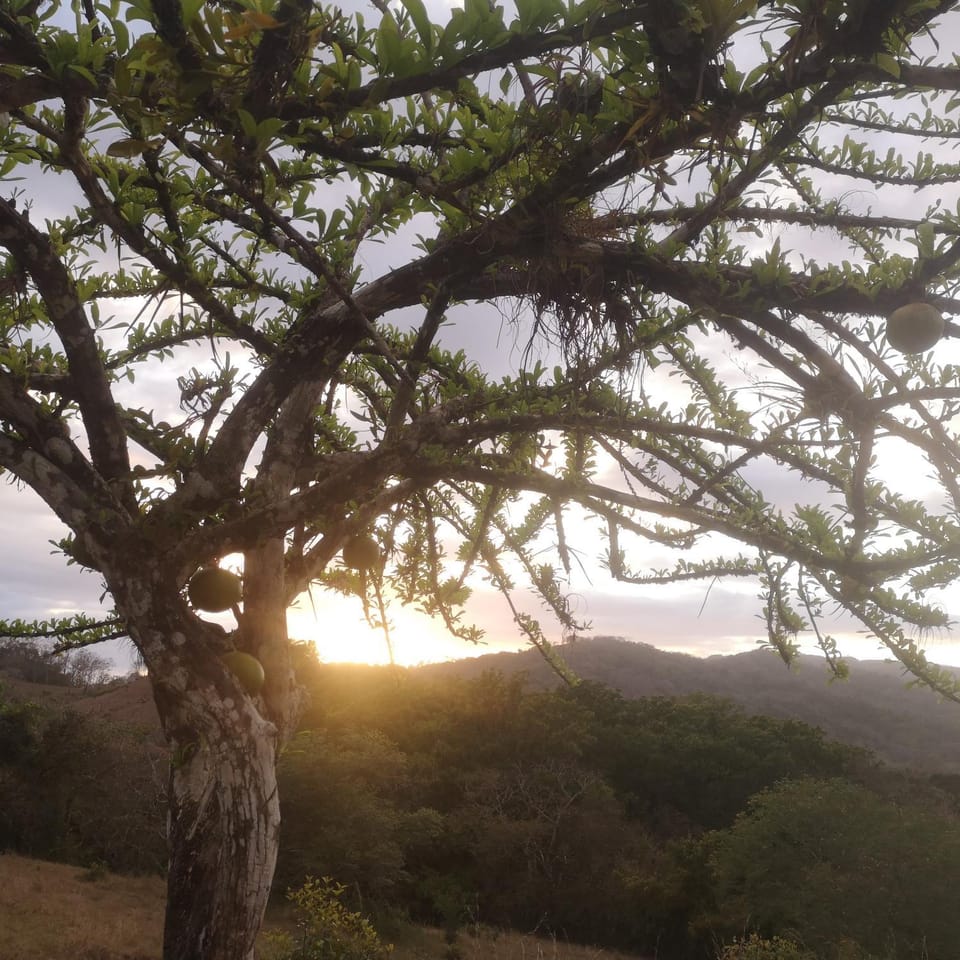 Sunrise