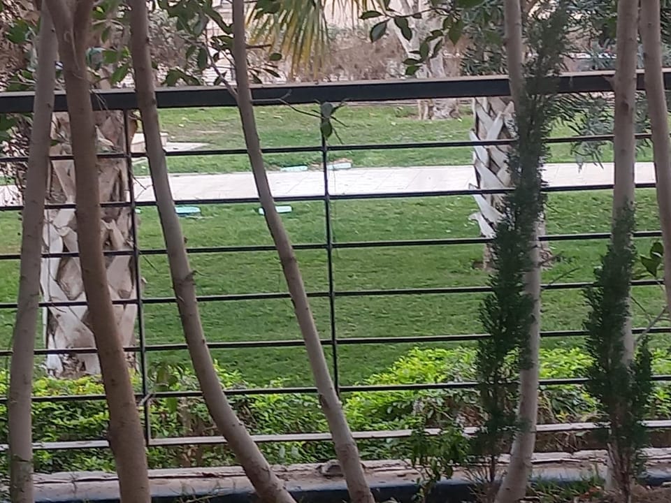 شقة فندقية بحديقة خاصة رائعة Apartment in Cairo Governorate