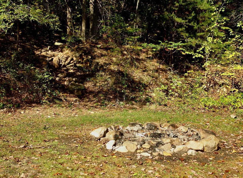 Carrie's Cabin Cabin in Cosby