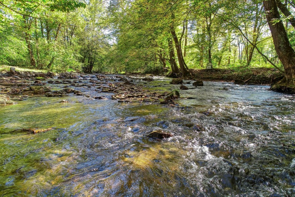 Whispering Creek Chalet in Cosby