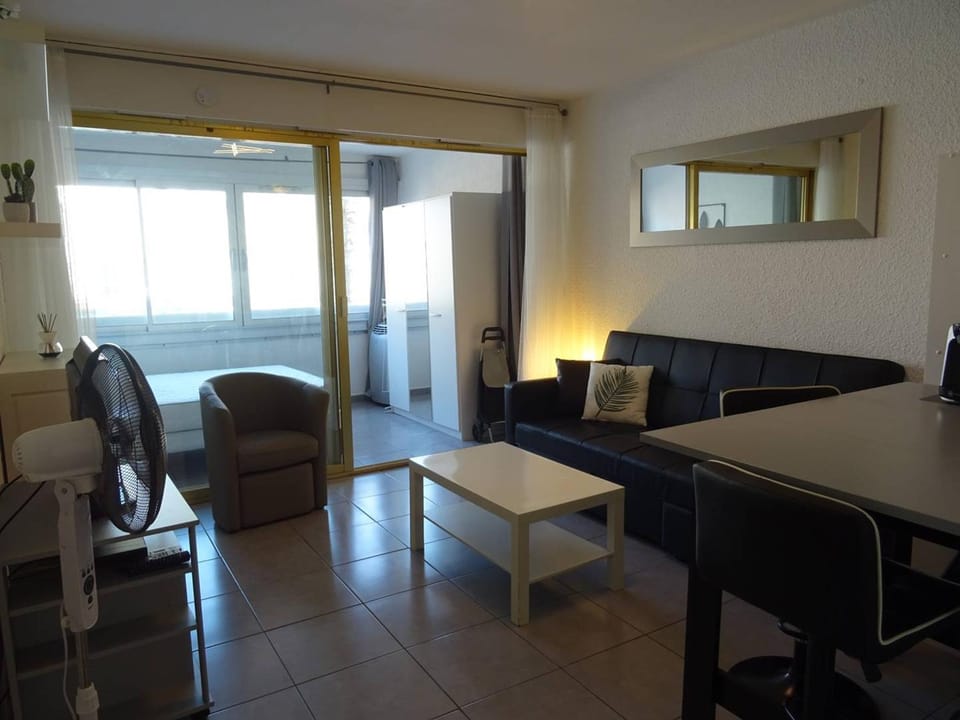 Studio central avec loggia et wifi - FR-1-833-21 Apartment in Canet-en-Roussillon