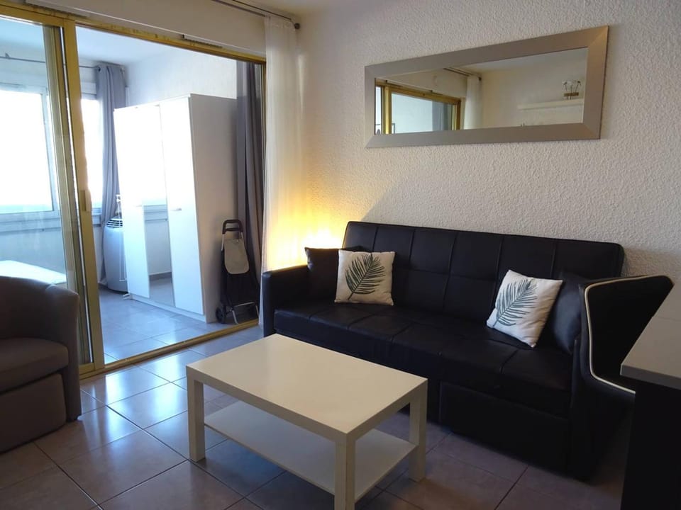 Studio central avec loggia et wifi - FR-1-833-21 Apartment in Canet-en-Roussillon