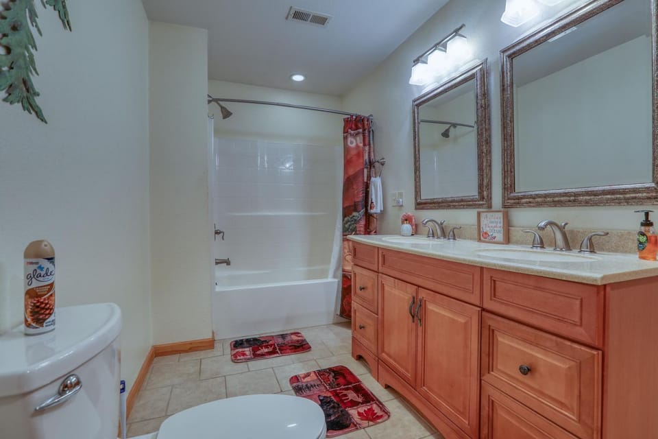 Smoky Mountain Getaway House in Cosby