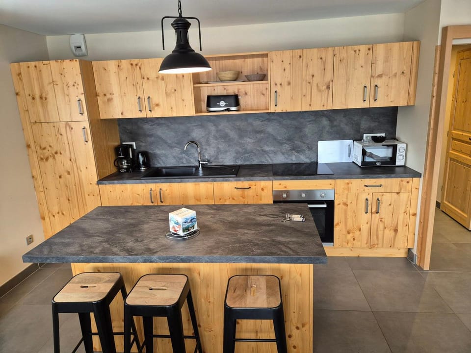 Appartement lumineux proche pistes, animaux admis - FR-1-811-14 Apartment in Les Deux Alpes