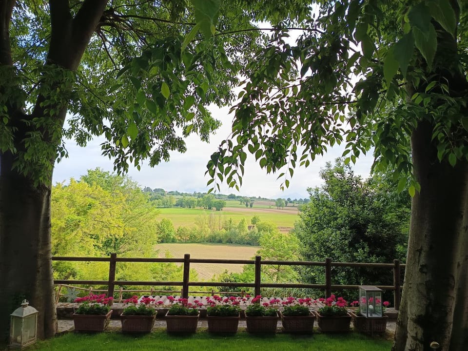Natural landscape, View (from property/room)