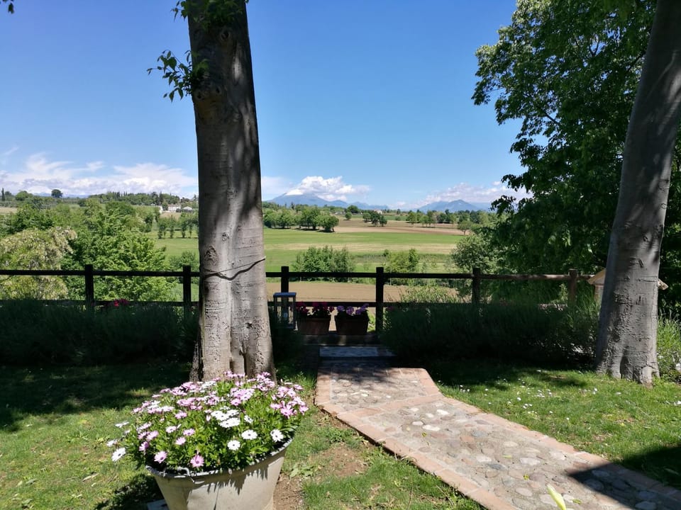 Natural landscape, Garden view