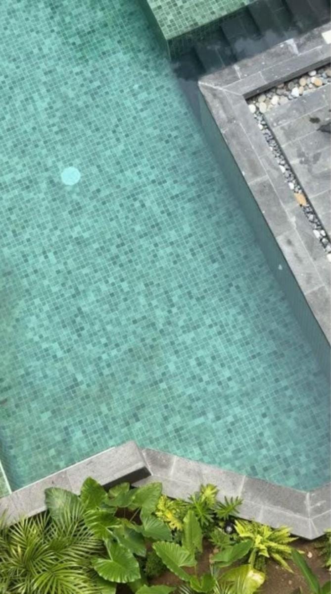 Swimming pool, Swimming pool