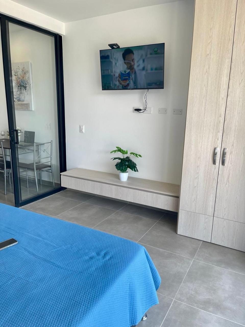 TV and multimedia