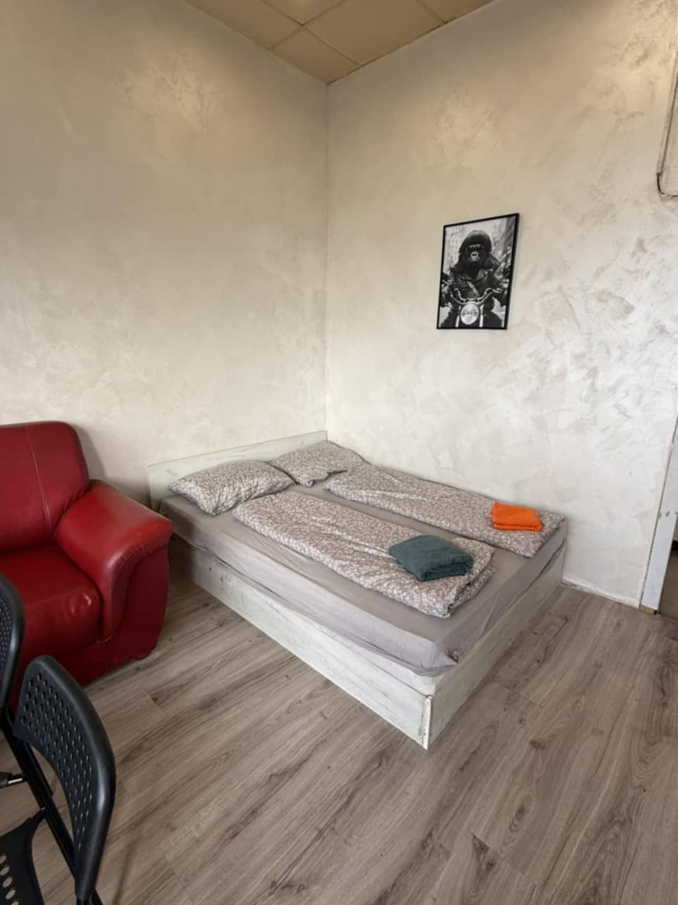 The Alpha Apartment in Sofia