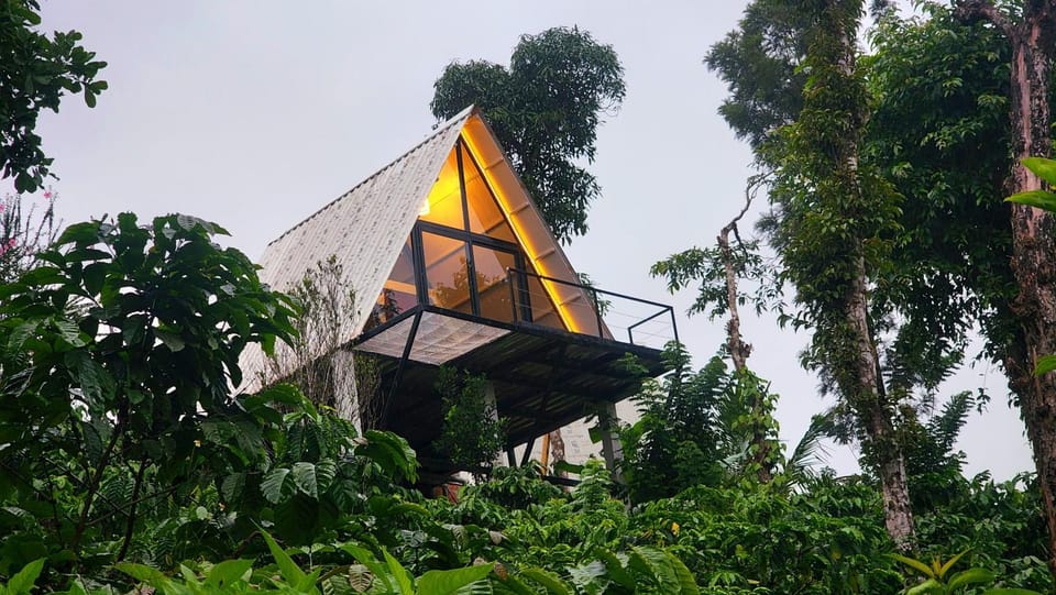 Property building, Natural landscape, Garden view