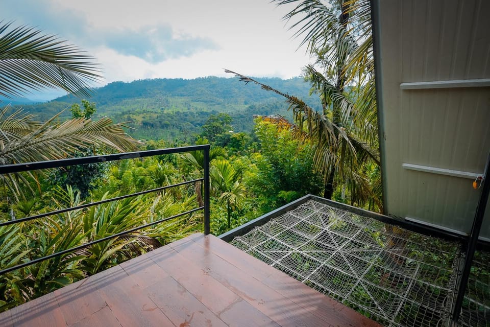 View (from property/room)