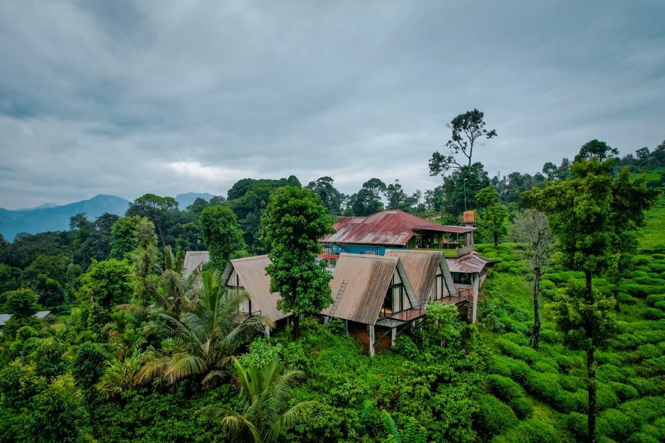 View (from property/room)
